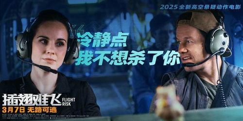 插翅难飞电影,揭秘犯罪团伙覆灭之路