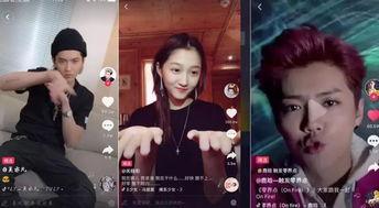 明星网红看球视频大全,全网热门明星网红看球瞬间大盘点