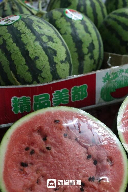 甜王瓜今日价格表最新,今日市场行情一览
