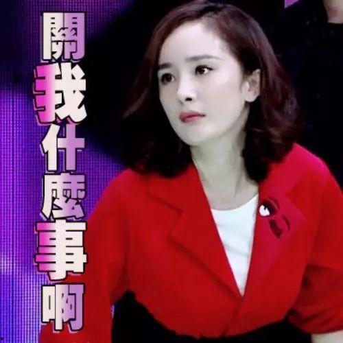 今日吃瓜热门事件明星是谁,今日热门事件聚焦当红明星