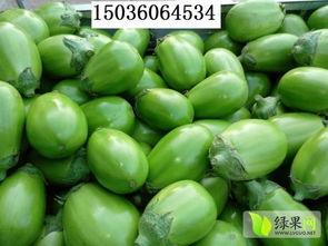 韩寺今日吊瓜价格表,今日韩寺吊瓜价格行情一览