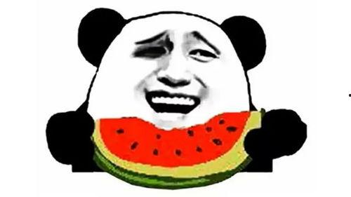 今日吃瓜现状怎么样了,网络热议背后的真相与反思