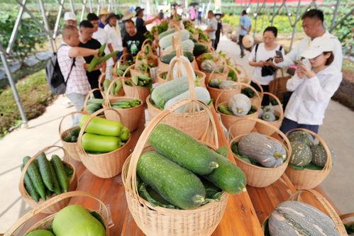 今日广州吃瓜最新消息,揭秘网络热议背后的真相