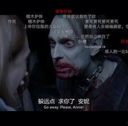 电影名称,穿越虫洞，探寻宇宙奥秘的壮丽征程