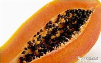 黑蜜瓜胃癌可以吃吗,患者饮食指南解析