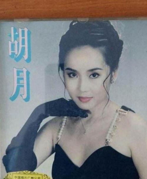 明星网红妻子有哪些,明星网红妻子们的时尚风采与生活点滴