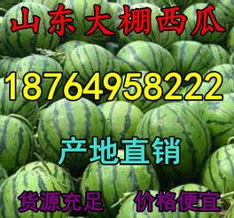 今日网纹瓜批发价格,市场行情一览