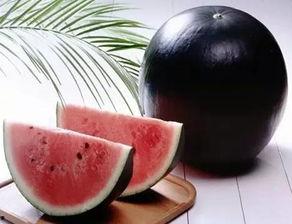 成都黑帽门吃瓜,揭秘网络黑产背后的惊人内幕