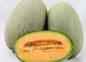 越吃越大的黑料瓜,揭秘网络谣言的膨胀之旅