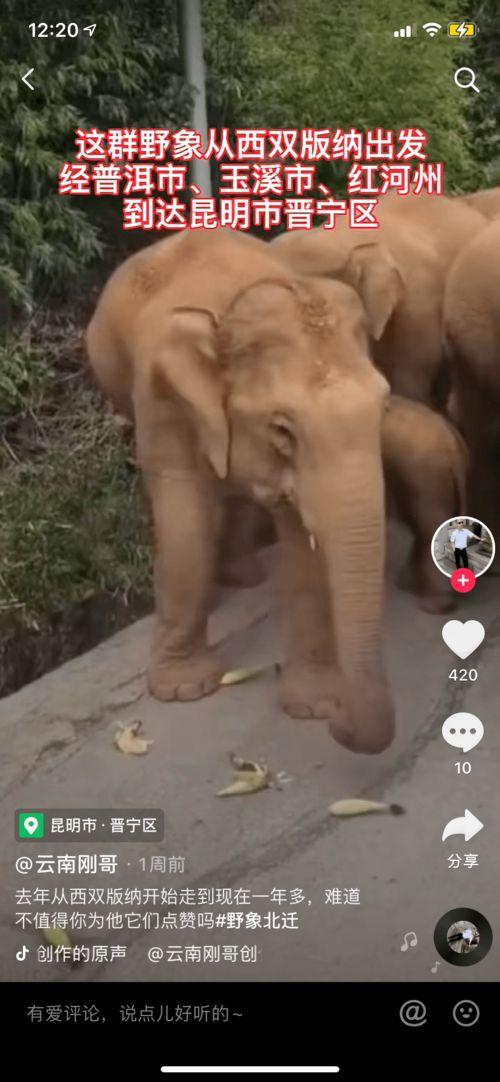 近期热门吃瓜事件1v7,揭秘近期热门吃瓜事件背后的真相