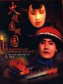 电影火烧圆明园,圆明园的悲壮毁灭