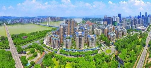 惠州水城东热门瓜,瓜果飘香，田园风光尽收眼底