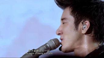 王力宏电影,光影交织的音乐电影之旅