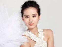 明星网红算什么职业,新时代的职业风向标