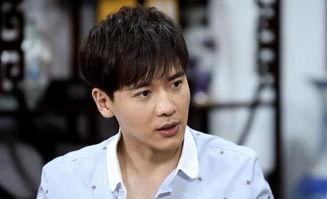 明星网红算什么职业,新时代的职业风向标