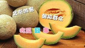 热门朝阳群众吃瓜,揭秘热门事件背后的真相