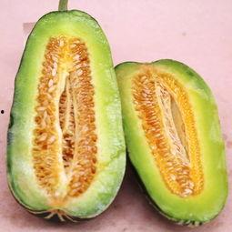 今日热销博洋九号蜜瓜,博洋九号蜜瓜，热销蜜瓜界的明星