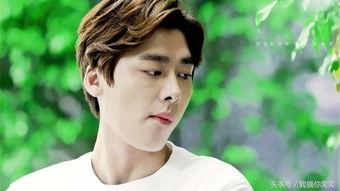 反差婊黑料吃瓜爆料李易峰,从黑料风波到吃瓜爆料，揭秘娱乐圈的冰山一角