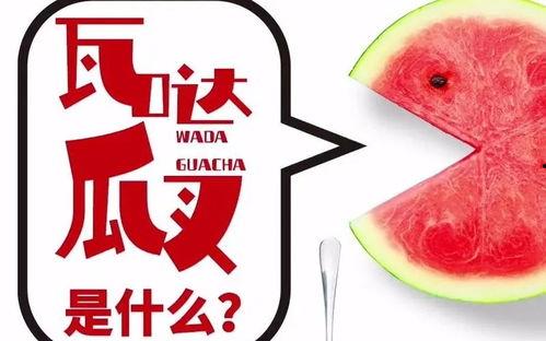 抖音上热门的瓜,揭秘网络红人的背后故事