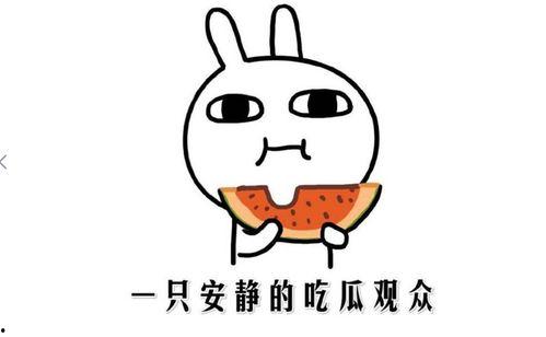 抖音上热门的瓜,揭秘网络红人的背后故事