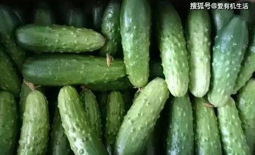 夏天热门瓜品种,盘点最受欢迎的夏季热门瓜品种