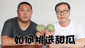 吃瓜的黑哥,网络红人的崛起与影响力