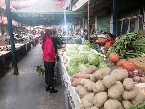 贝贝瓜今日价格3月9号,市场动态一览”