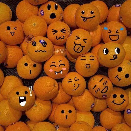 摘吊瓜热门文案搞笑,笑果连连，瓜农的欢乐日常