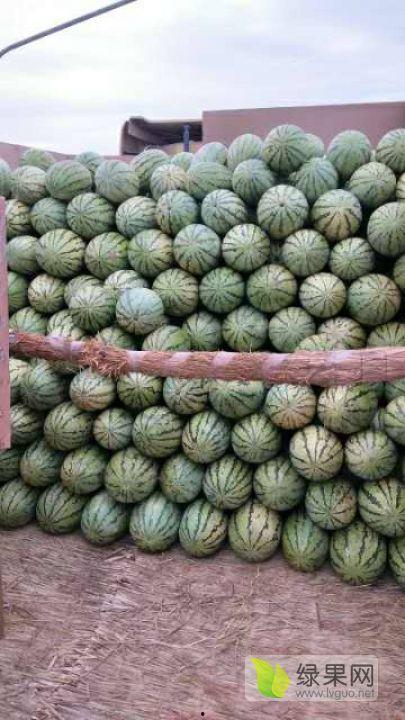 商情网硒砂瓜今日价钱,市场行情实时解析