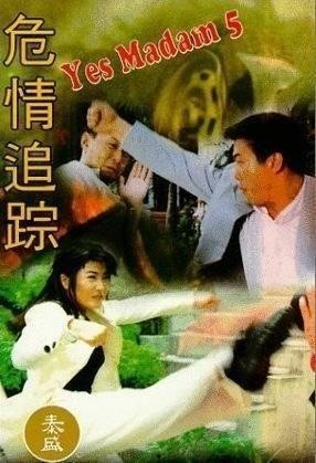 跟踪电影,揭秘电影背后的故事与传奇