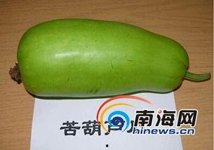 启海热门瓜,揭秘热门瓜背后的真相与内幕