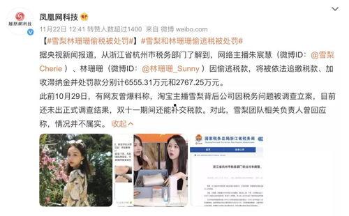 明星网红如何缴税呢,揭秘明星网红的税务处理之道