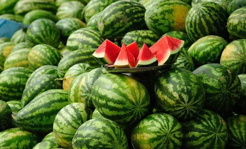 吊瓜西瓜今日价格表最新,2023年最新吊瓜西瓜价格行情一览