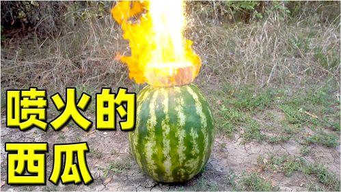 有哪些热门的大瓜视频,盘点近期热门大瓜视频