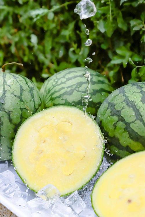 718视频网站黑料吃瓜,黑料吃瓜背后的真相与争议