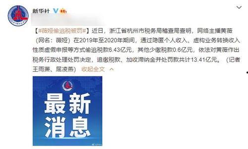 有关明星网红偷税论文,明星网红偷税现象剖析与反思