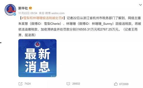 有关明星网红偷税论文,明星网红偷税现象剖析与反思