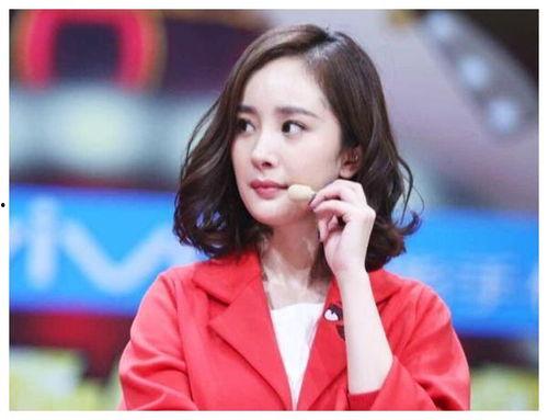 哪个人是明星网红,揭秘当红明星网红背后的故事