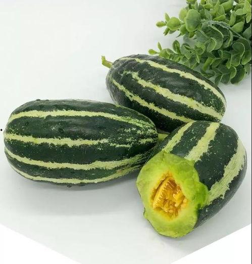 文山洋瓜今日价格表图片,行情一览，市场动态解析