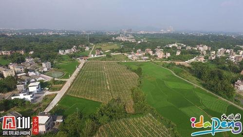 马瓜山今日头条新闻,揭秘神秘古墓发现，千年宝藏引考古热潮