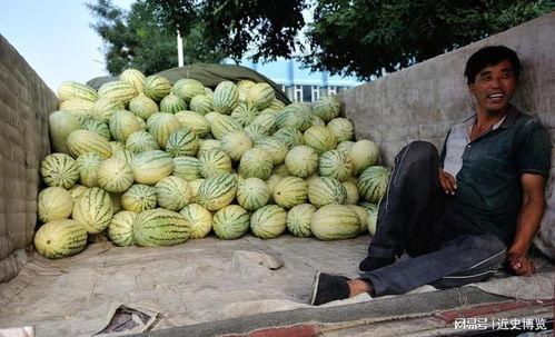 热门暴力瓜,热门瓜背后的真相与反思