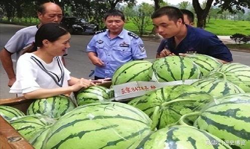 热门暴力瓜,热门瓜背后的真相与反思