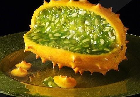 沈阳市今日黄瓜角瓜价格,新鲜蔬菜价格波动解析”