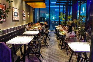 明星网红沈阳探店,探寻美食新地标