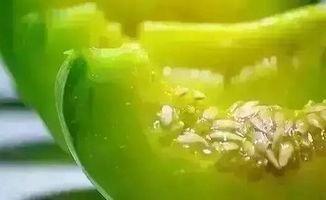 吃黑绿瓜,营养与美味的完美结合