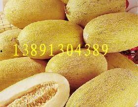 武汉哈密瓜今日价格行情,价格行情一览