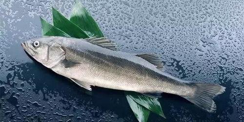 吃瓜被小鱼拉黑什么意思,网络社交的微妙边界