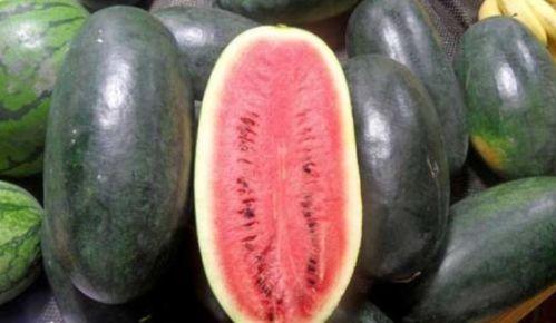 17ccc吃瓜黑料,吃瓜黑料背后的真相与反思