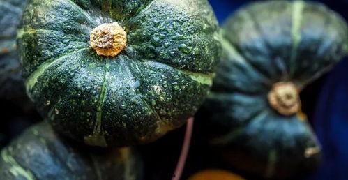 黑月吃瓜,揭秘神秘组织“吃瓜”背后的惊天秘密