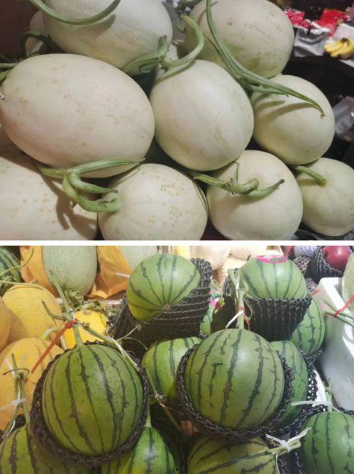 吃瓜大合集黑料色色,吃瓜大合集中的黑料与色色真相